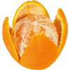 Nôž na citrusy | TRIANGLE, 334113