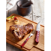Nôž na steaky 250 mm, červený | TRAMONTINA, Polywood