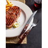Vidlica na steaky 205 mm, hnedá | TRAMONTINA, Polywood