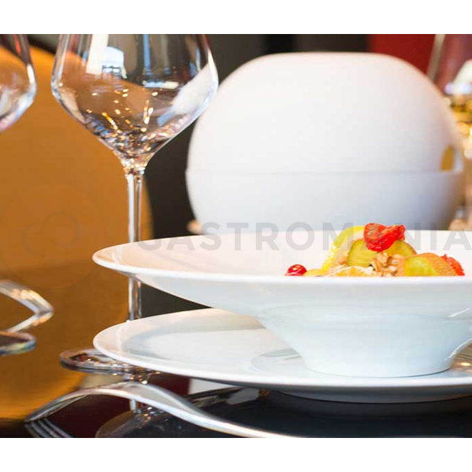 Porcelánový tanier hlboký gourmet 28 cm | ARIANE, Style