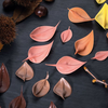 Prírodné farbivo, koncentrát z kakaového masla - hnedé, 200 g - NC08 | PAVONI, Seasons
