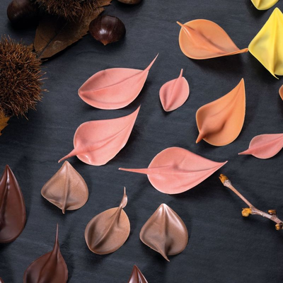Prírodné farbivo, koncentrát z kakaového masla - oranžové, 200 g - NC06 | PAVONI, Seasons