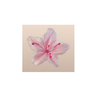 Cukrový kvet hviezdy prach 4 cm, ružový, sada 5 ks. | MAGMART, 041