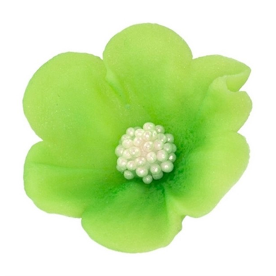 Malý cukrový kvet mercedesu 4 cm, limetkový, sada 5 ks. | MAGMART, K 010