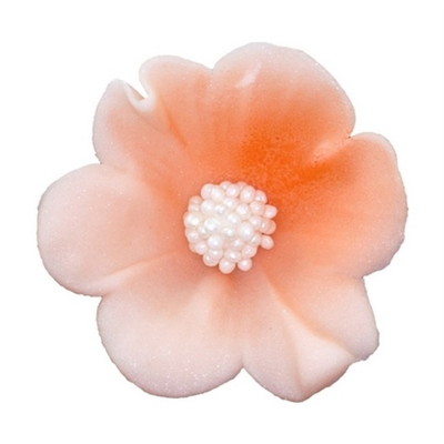 Malý cukrový kvet mercedesu 4 cm, lososový, sada 5 ks. | MAGMART, K 010