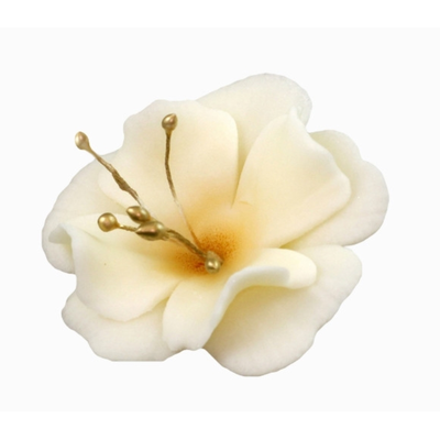 Malý kvet cukrové magnólie 5,5 cm, écru | MAGMART, K 024M