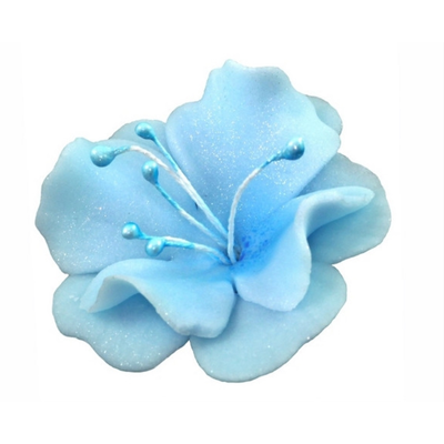 Malý kvet cukrové magnólie 5,5 cm, modrý | MAGMART, K 024M