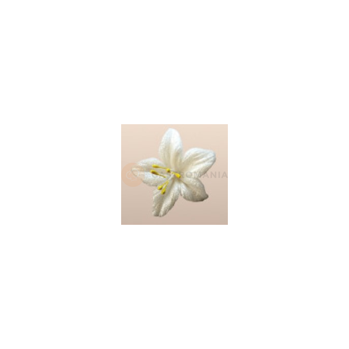 Cukrový kvet hviezdy prach 4 cm, biely a žltý, sada 5 ks. | MAGMART, 041