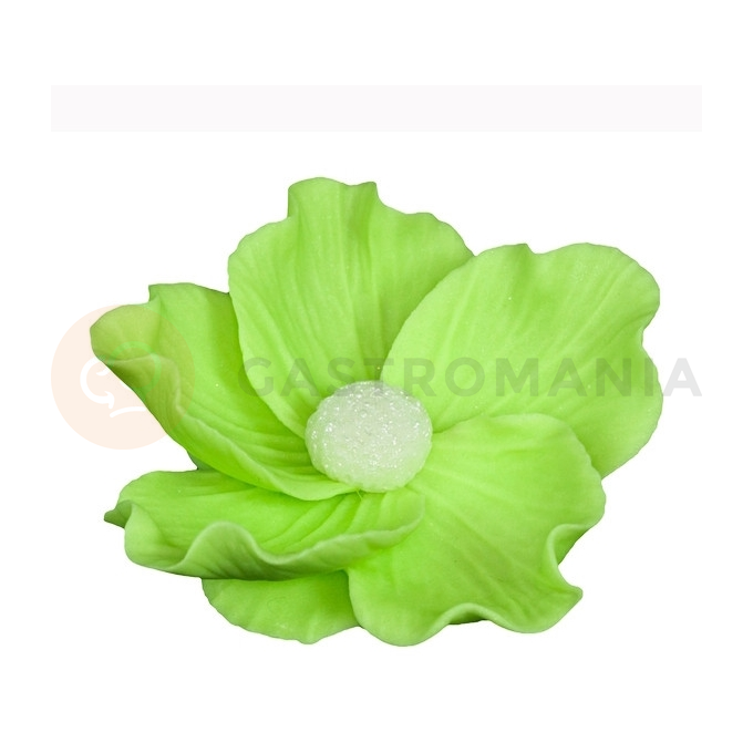Kvet divokej ruže malý z cukru 8 cm, limetkovo zelená | MAGMART, K 014M