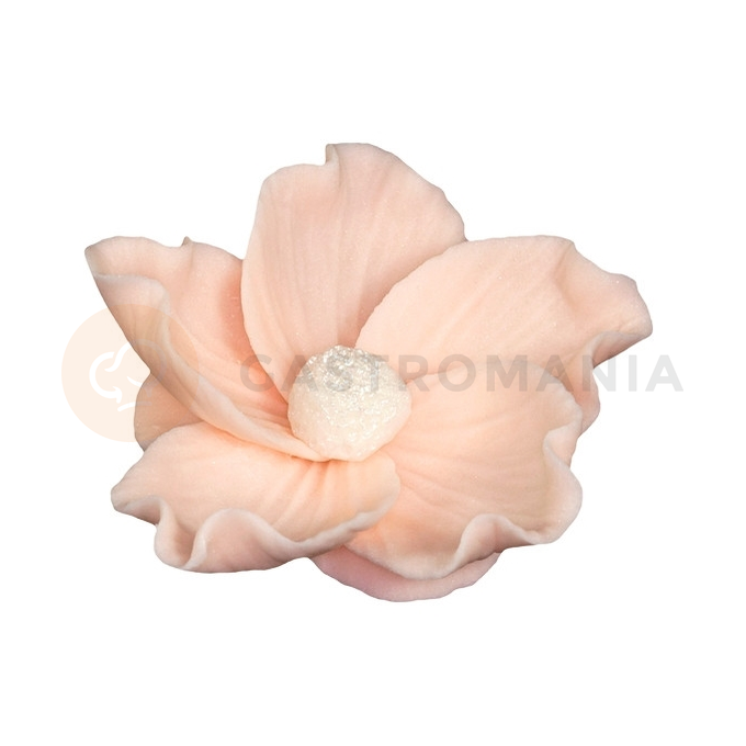 Kvet divokej ruže malý z cukru 8 cm, lososová | MAGMART, K 014M