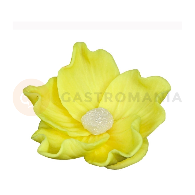 Kvet divokej ruže malý z cukru 8 cm, žlutá | MAGMART, K 014M