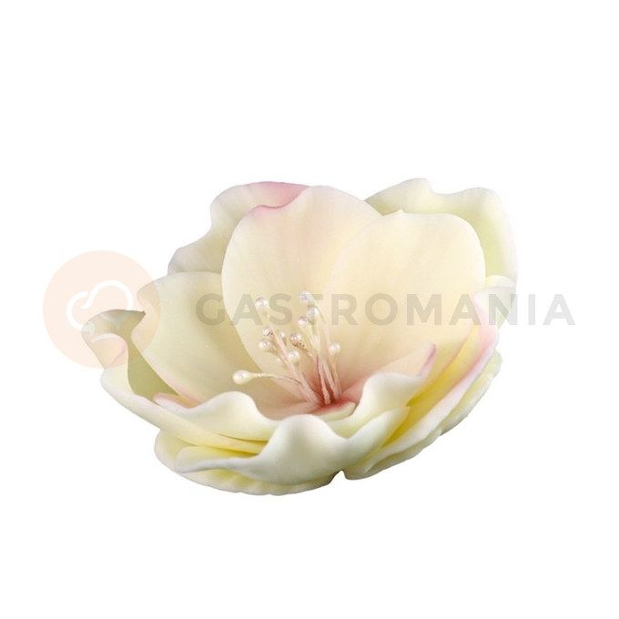 Kvet jícnovky malý z cukru 8 cm, ružová ecru | MAGMART, K 013M