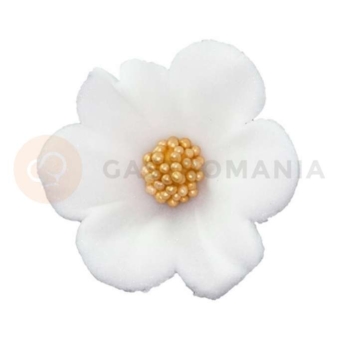 Malý cukrový kvet mercedesu 4 cm, biely, sada 5 ks. | MAGMART, K 010