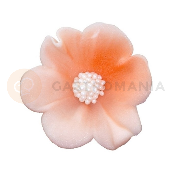 Malý cukrový kvet mercedesu 4 cm, lososový, sada 5 ks. | MAGMART, K 010