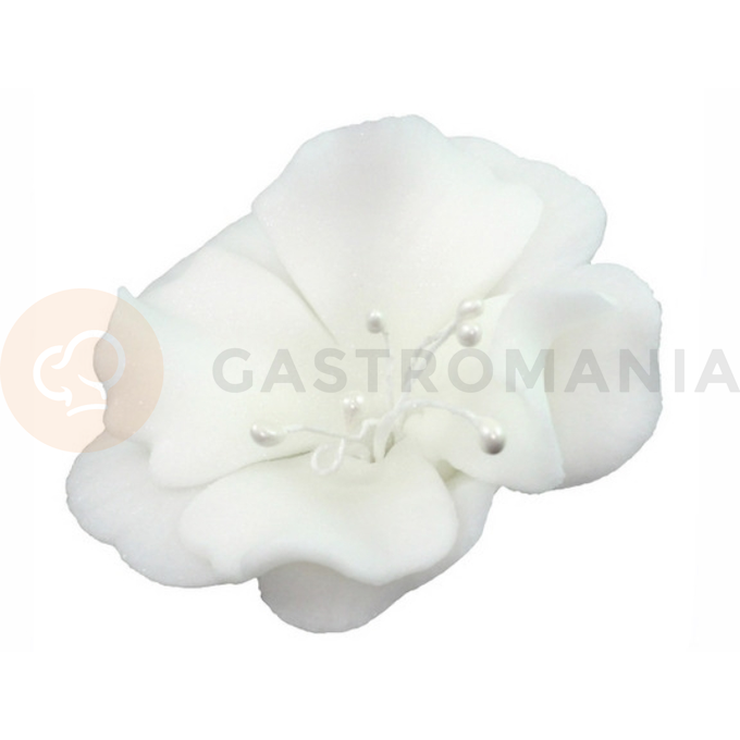 Malý kvet cukrové magnólie 5,5 cm, biely | MAGMART, K 024M