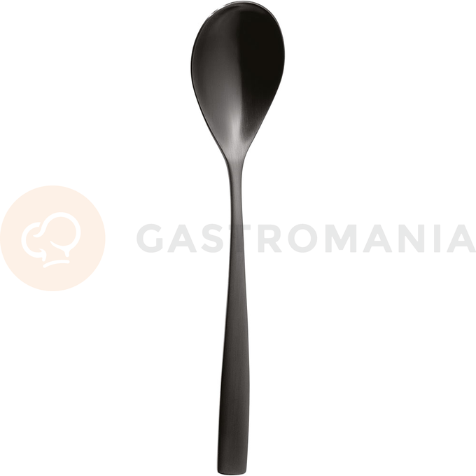 Lyžica polievková, černá, 200 mm | COMAS, BCN Kolor