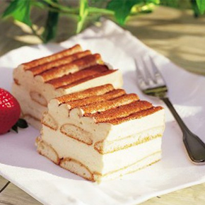 Stabilizátor šľahačky s príchuťou tiramisu, 0,5 kg | ZEELANDIA, Zeesan Tiramisu