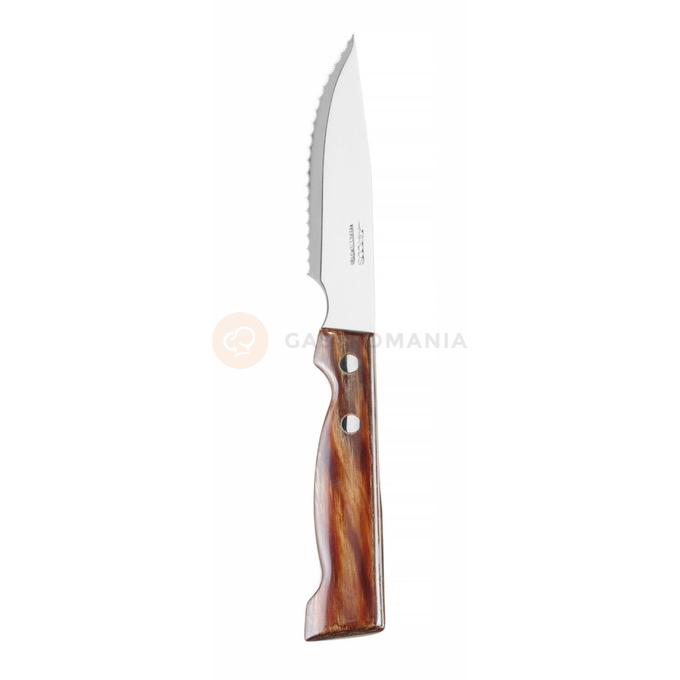 Steakový nôž, drevo, 240 mm | ARCOS, Forest
