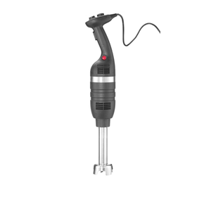 Ručný mixér 350 s variabilnou rýchlosťou a 250mm mixovacím ramenom, čierny, 350W, 100x666 mm | HENDI, Kitchen Line