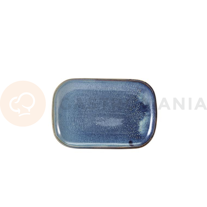 Obdĺžnikový tanier 30x290x195 mm | GENWARE, Terra Aqua