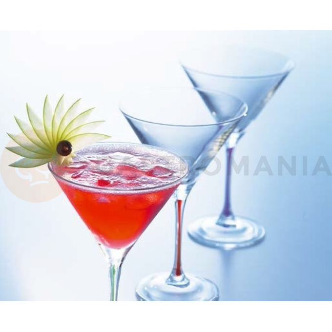 Pohár na martini 230 ml | PASABAHCE, Enoteca