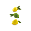 Sada forem pro přípravu chlazených dezertů - 4 ks, 120 ml, 88x61x44 mm - Limone &amp; Lime 120 | SILIKOMART, 3D Fruits