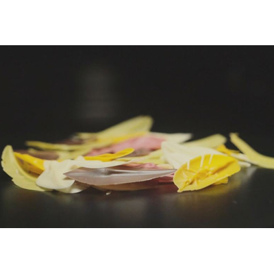 Špachtle na čokoládu ve tvaru lístku - 40x20 mm | SILIKOMART, Choco Leaves Spatula