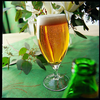 Pohár na pivo 380 ml | ARCOROC, Cervoise