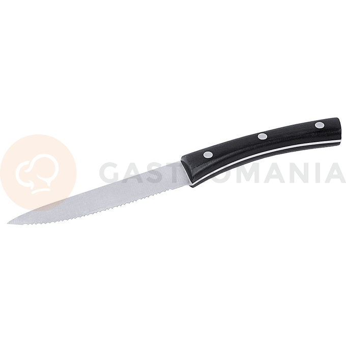 Steakový nôž 230 mm | CONTACTO, 4666/230
